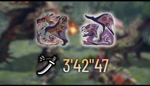 【モンハンライズ】夫婦げんかはガルクも食わない 太刀 3’42″47 火事場 /Apex Rathalos and Apex Rathian Long Sword【MHRise】