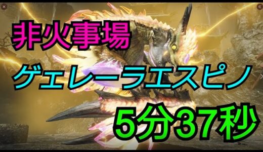 モンスターハンターライズ　イベクエ「雷神再臨」ナルハタタヒメ　ヘビィボウガン　貫通弾＆貫通氷結弾　ゲェレーラエスピノ　5分37秒（字幕付き）