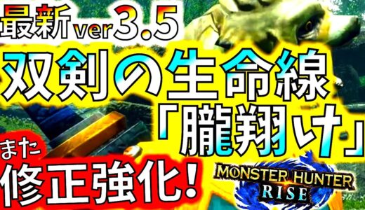 モンハンライズ//止まらない双剣の強化修正…!!最新アプデで5武器種に修正強化。アプデ内容確認【MHRise/モンスターハンターライズ