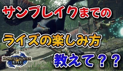 【MHRise】サンブレイク発売までの暇を潰すライズの楽しみ方を教えてくれ！【みんなの反応まとめ】