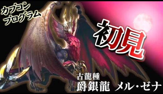 【MHRiseサンブレイク】新古龍メル・ゼナ！？？？圧倒的なかっこよさじゃないですか？？あと蟹さんが復活んんんッ！！！【モンハンライズ/モンハン解説シリーズ】