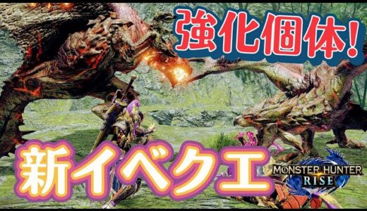 【モンハンライズ】まずはソロ→参加型★新イベクエ『夫婦喧嘩はガルクも食わない』٩(ˊᗜˋ*)و✧*｡【MHRise/モンスターハンターライズ】