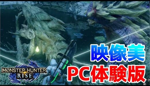 【MHRise】PC体験版！60FPSでマガイマガドと遊ぶ！モンハンライズ