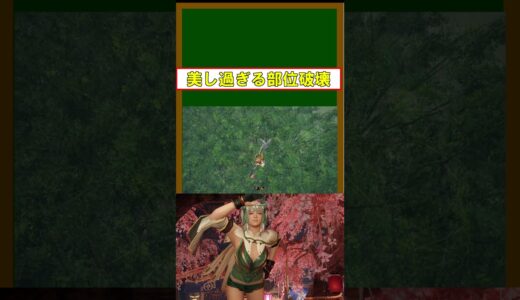 【MHRise】美し過ぎる部位破壊　モンハンライズ#shorts