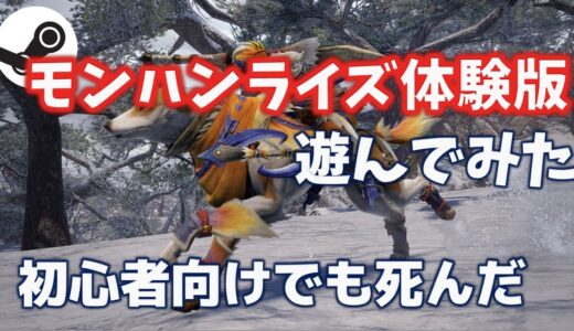 Steam版モンハンライズ面白かった「ホイールクリック+左クリックは難しいです」　#MHライズPC体験版