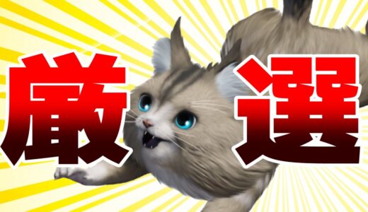 モンハンライズ【オトモアイルー厳選方法】大切なのは○○！~モンスターハンター ライズ~
