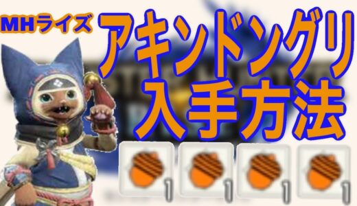 アキンドングリ　モンスターハンターライズ
