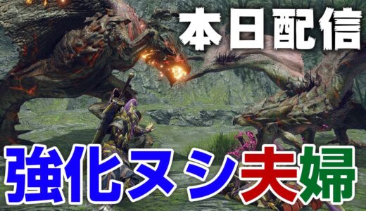 【モンハンライズ】高難度！最新イベントクエスト強化個体のヌシリオレウスとヌシリオレイア「夫婦げんかはガルクも食わない」【モンスターハンターライズ】