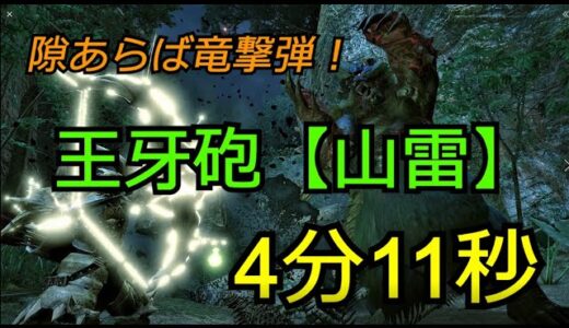モンスターハンターライズ　イベクエ「ヌシ・アオアシラ重大事変」　ヘビィボウガン　斬裂弾＆竜撃弾　王牙砲【山雷】　4分11秒