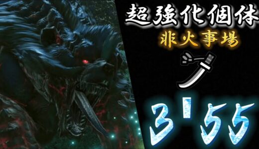 【モンハンRISE】ヌシアオアシラ重大事変 超強化個体ヌシアオアシラ 非火事場 太刀ソロ3:55/Apex Arzuros Emergency long Sword