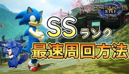 【モンハンライズ】最速周回法SSランク安定！！置物全入手！！「いっぱいのリングをこの手に！」ソニックコラボソロ狩猟笛【モンスターハンターライズ】