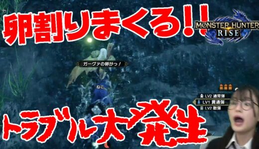 ガーグァ卵運搬、滝から飛び降り/ライトボウガン【モンスターハンターライズ】宇田川ももか