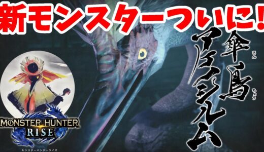 【モンハンライズ】新モンスター！傘鳥アケノシルム狩猟！里緊急クエスト【モンスターハンターライズ】