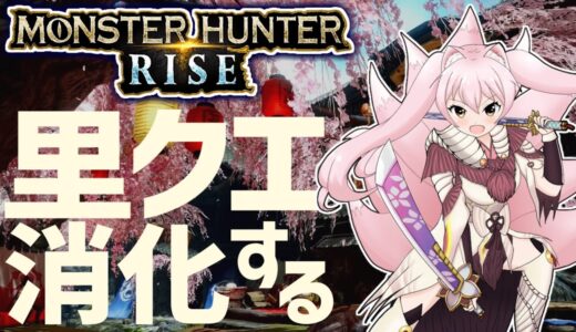 🔴今更だけど里クエのクリアを目指す！【モンハンライズ】