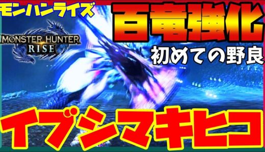 【モンハンライズ】野良百竜で緊張ｗｗ強化イブシマキヒコが強かった【太刀】