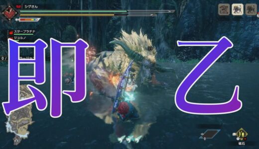 【モンハンライズ】即乙数コマ