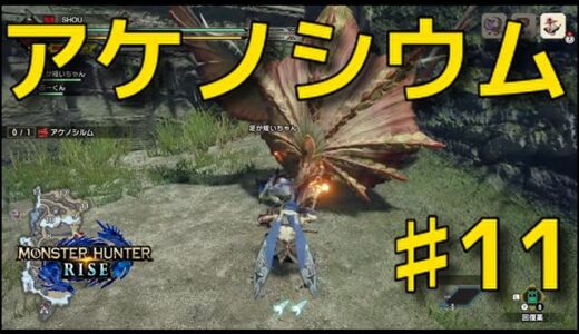 モンハンライズ♯１１ アケノシウム 唐傘の妖怪  モンスターハンターライズ