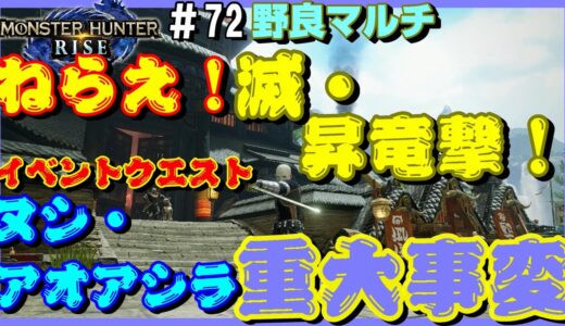 ねらえ！滅・昇竜撃！ヌシ・アオアシラ重大事変【モンスターハンターライズ】【イベントクエスト】【片手剣】