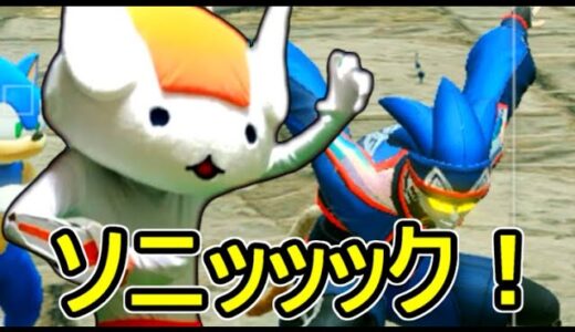 ソニックと秘密の食品【モンハンライズ】