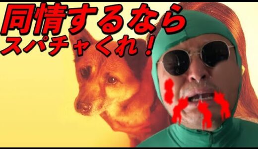 【モンハンライズ】鬼束ちひろ逮捕！　もう何があったｗ　金狼の護石周回配信！