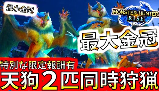 モンハンライズ//本日配信2匹同時討伐はカオス!!ｗ本日配信イベクエ報酬が可愛すぎる!!大＆小金冠確定？ビシュテンゴ。【MHRise/モンスターハンターライズ
