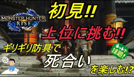 【MHR】モンスターハンターライズを楽しむ！【モンハン】