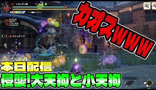 モンハンライズ】新イベクエはカオスな最大最小金冠闘技場！？「大天狗と小天狗」初見【MHRise】