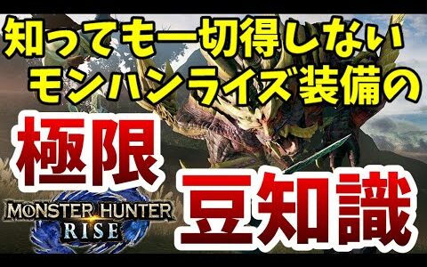 モンハンライズ装備の小ネタを超えた最小金冠豆知識【MHRise/モンスターハンター】