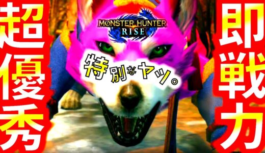 モンハンライズ//事前情報より優秀!!即戦力になる特別オトモ配信。おすすめスキル、猟犬具等も紹介【MHRise/モンスターハンターライズ