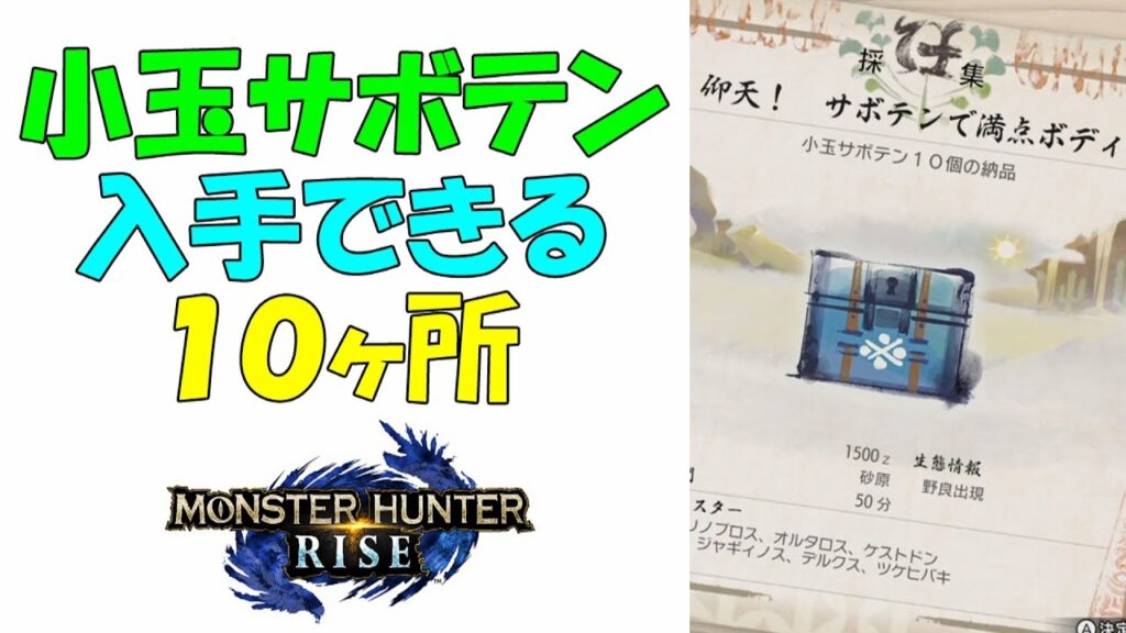 モンハンライズ 小玉サボテン １０ヶ所 仰天 サボテンで満点ボディ攻略 Mhriseモンスターハンターライズ ガルク速報