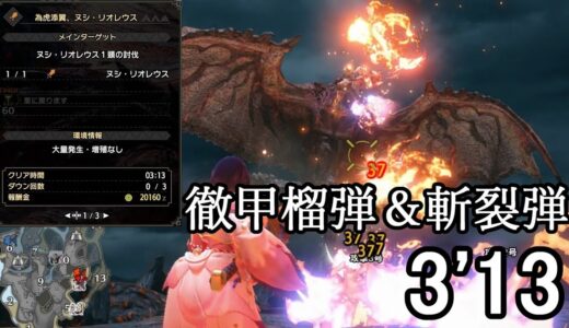 【MHRise】ヌシ・リオレウス ライトボウガン（徹甲榴弾＆斬裂弾） 3分13秒