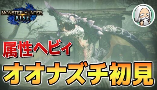 【モンハンライズ】ナズチが戦いやすい…だと！？オオナズチ初見攻略【MHRise】