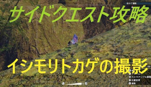 【モンスターハンターライズ】サイドクエスト攻略／イシモリトカゲ・ブンブジナの撮影