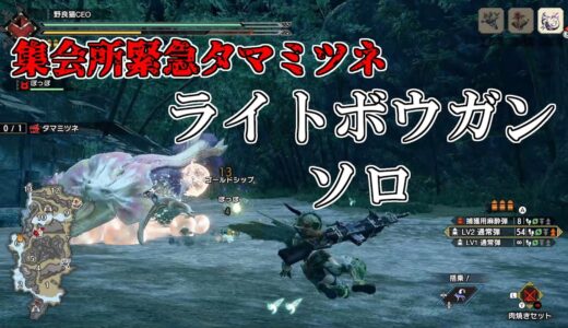 【モンスターハンターライズ】集会所緊急タマミツネ（ライトボウガン・ソロ）