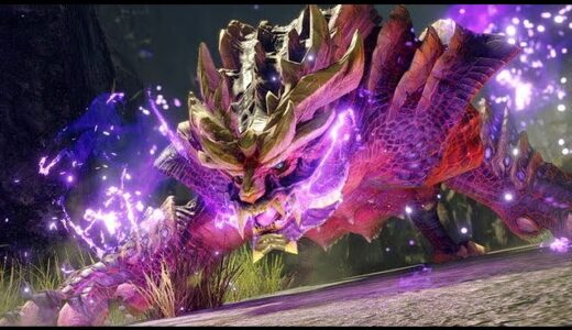 モンスターハンターライズ　参加型で狩りしよう！