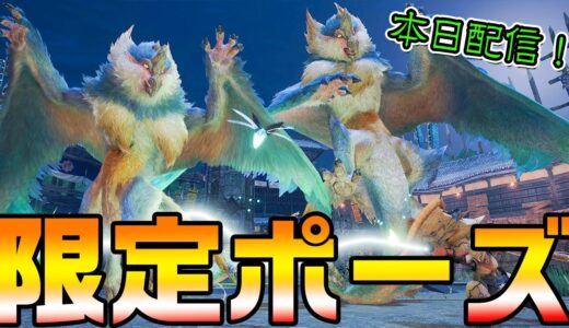 【モンハンライズ】限定ポーズ「寒暖」も！最新イベントクエストはビシュテンゴの金冠救済「侵襲！大天狗と小天狗」【モンスターハンターライズ】