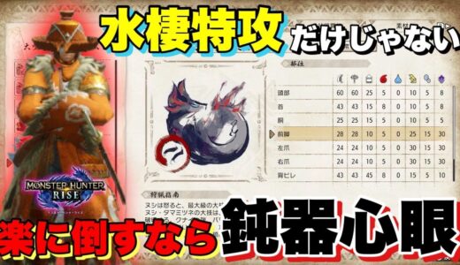 【モンハンライズ】強化個体ヌシタマミツネ　鈍器心眼が楽すぎた【スラッシュアックス】