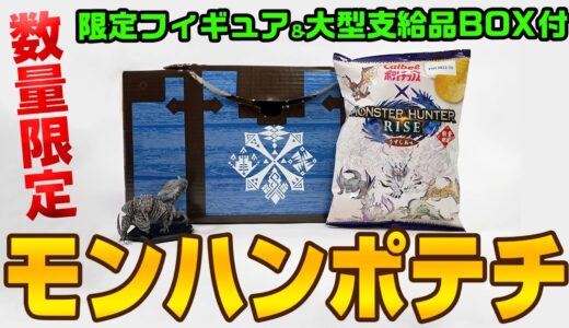 【モンハンライズ】クリスマスはポテチを食べよう！モンスターハンターライズスペシャルＢＯＸ 限定フィギュア付【モンスターハンターライズ】