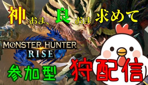【モンハンライズ】大剣を使いこなしたい：参加型【初見さん歓迎】