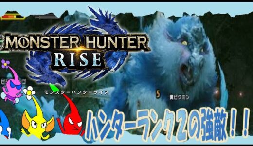 【モンスターハンターライズ】ピクミンと一緒にモンハン２！ハンターランク２の（初心者にとっては）強敵のビシュテンゴ！！【ゆっくり実況】