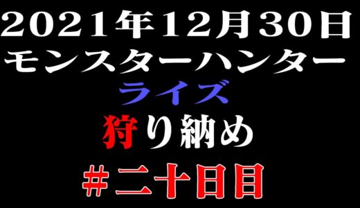 【モンハンライズ】ハンターの皆さん良いお年を！今日も今日とて狩猟生活！＃二十日目【狩人】