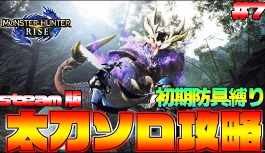 最高画質240FPS！初期防具＆太刀ソロでモンハンライズクリアするぞ！上位編 ＃7 steam版【MHRise:モンスターハンターライズ】