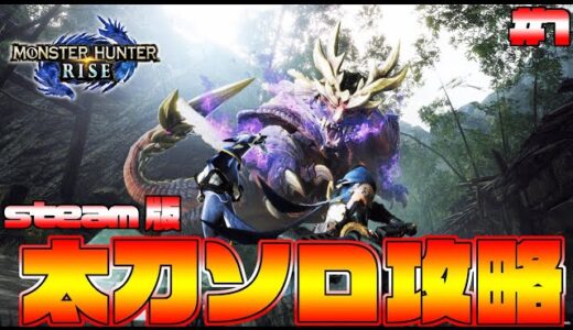 最高画質240FPS！太刀ソロでモンハンライズクリアするぞ！＃１ steam版【MHRise:モンスターハンターライズ】