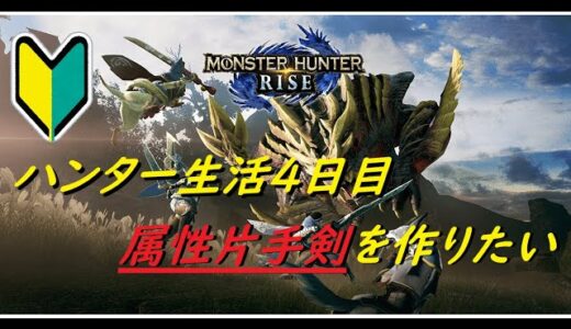 【MHR】のんびりと一狩り！モンスターハンターライズやる！！＃4