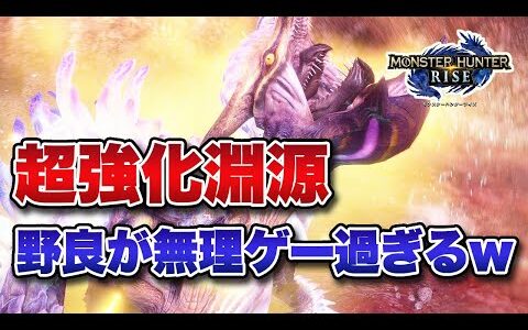 【MHRise】超強化 淵源ナルハタタヒメ＆イブシマヒキコ、野良マルチが無理ゲー過ぎるｗｗｗ【みんなの反応まとめ】