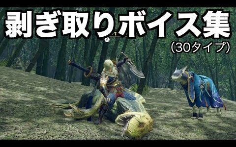 [MHRise]剥ぎ取りボイス 台詞集 30タイプ [モンスターハンターライズ]