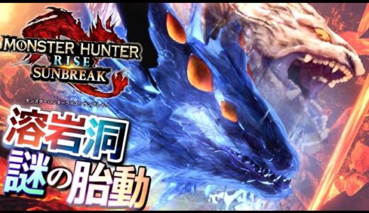 【MHRise】ナルハタタヒメじゃない、全く別の”巨大な何か”が、マジでいるのかもしれん…!!! 資料集より判明した新事実と、サンブレイクへの伏線について！【モンハンライズ/モンハン解説シリーズ】