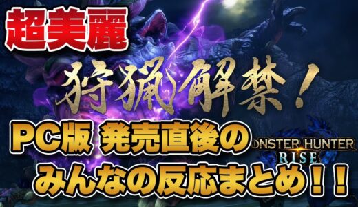 【MHRise】祝！STEAM版「モンハンライズ」が遂に発売開始！配信直後のみんなの反応まとめ！