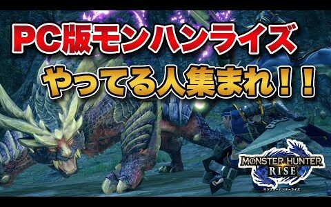 【MHRise】Steam版「モンハンライズ」やってる人集まれ！！【みんなの反応まとめ】