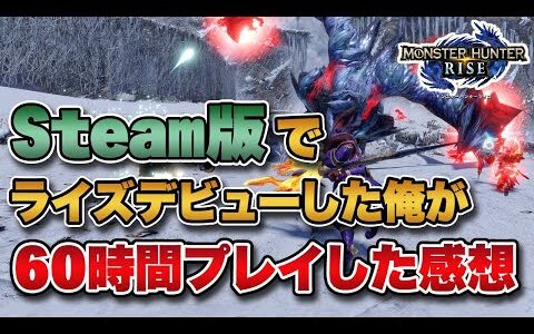 【MHRise】Steam版でライズデビューした俺が60時間プレイした上での感想【みんなの反応まとめ】